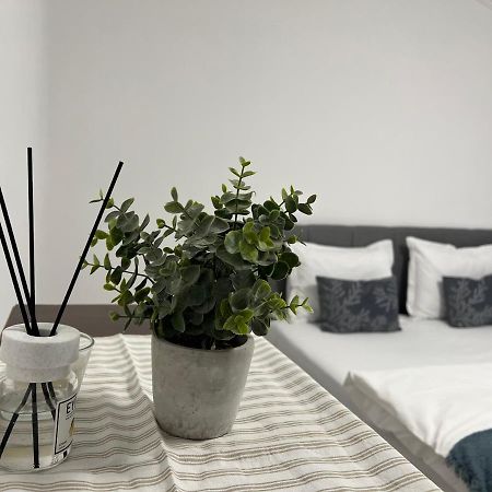 קלוז'-נאפוקה The N Apartment מראה חיצוני תמונה