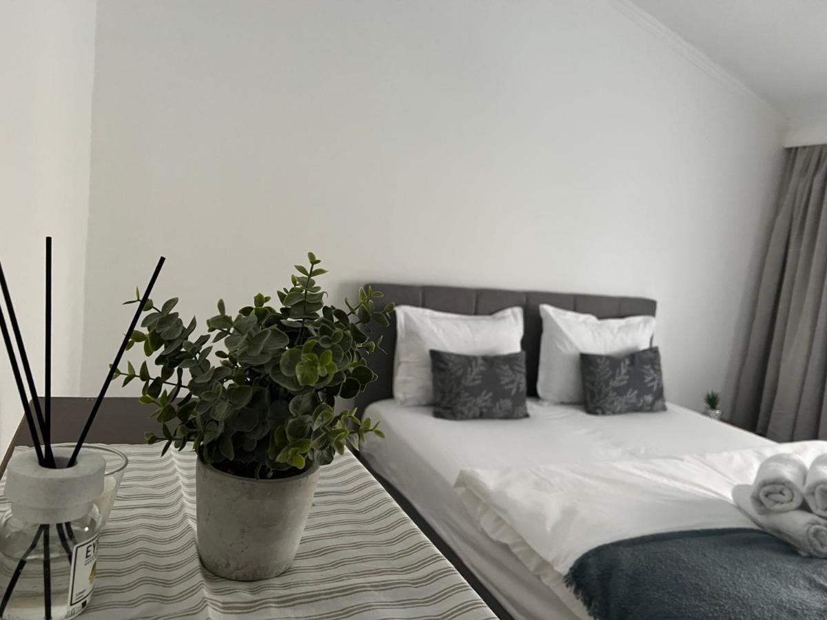 קלוז'-נאפוקה The N Apartment מראה חיצוני תמונה